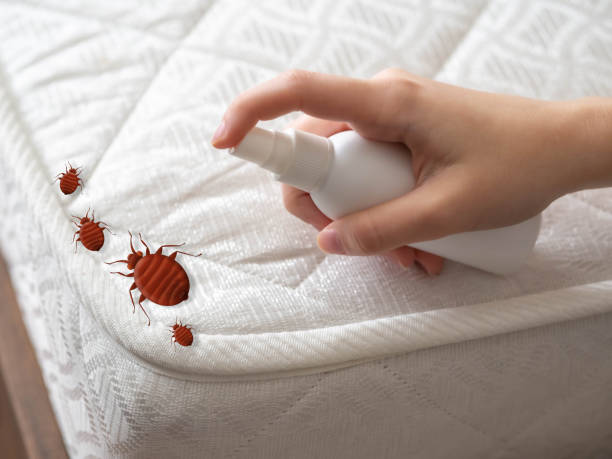 Best Emergency Pest Control  in Goldenrod, FL